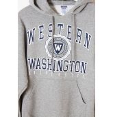 Hoodie Gris T S-3