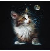 SPACE CAT - 00's T XL-2