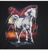 FADED STORM - 90's T XXL-2